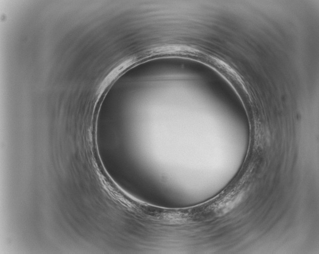 X0000060241330200510311512