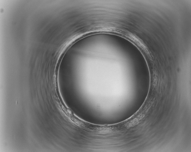 X0000060241332200510311512