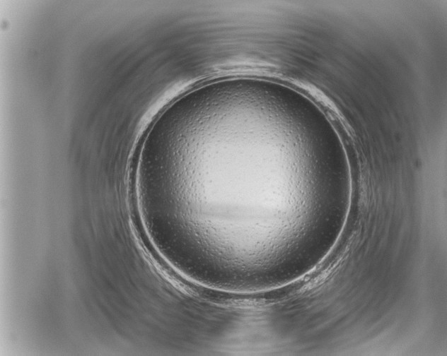 X0000060241333200510311512