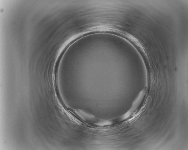 X0000060241334200510311512