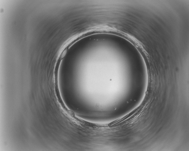 X0000060241335200510311512