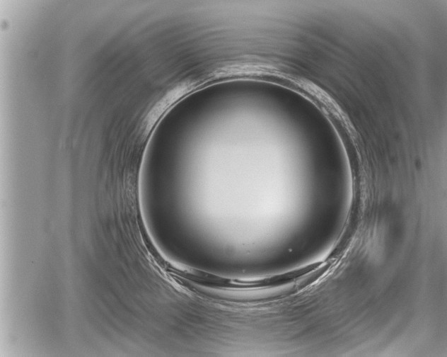 X0000060241337200510311512