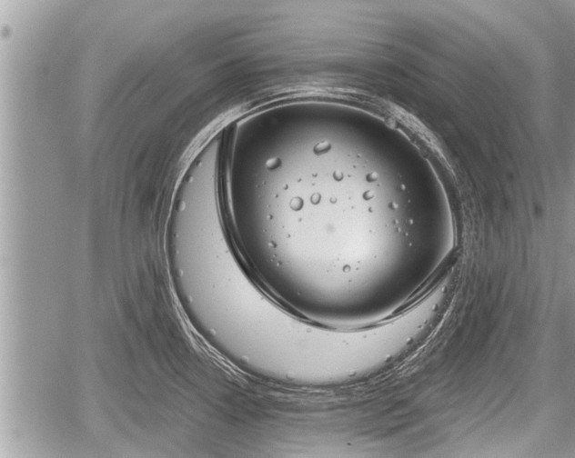 X0000060241338200510311512