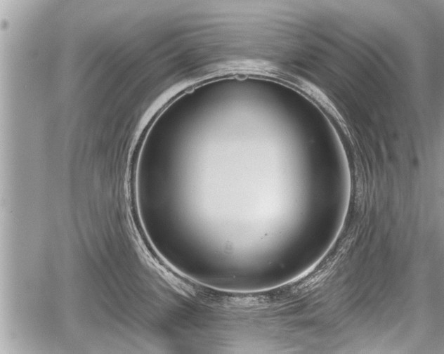 X0000060241339200510311512