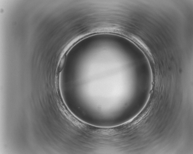 X0000060241340200510311512