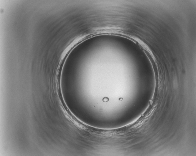 X0000060241341200510311512