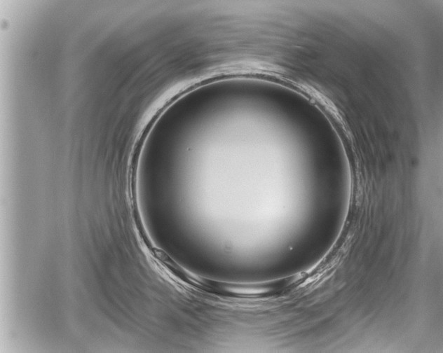 X0000060241342200510311512