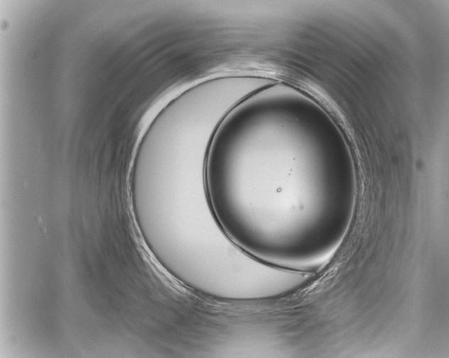 X0000060241344200510311512