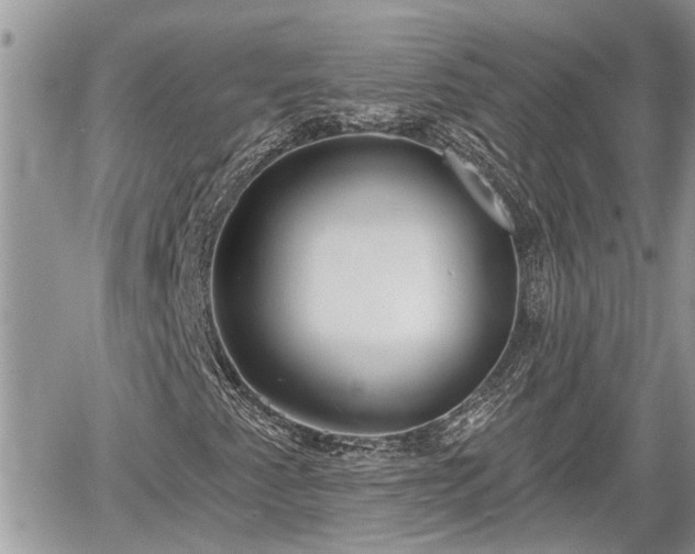 X0000060241345200510311511