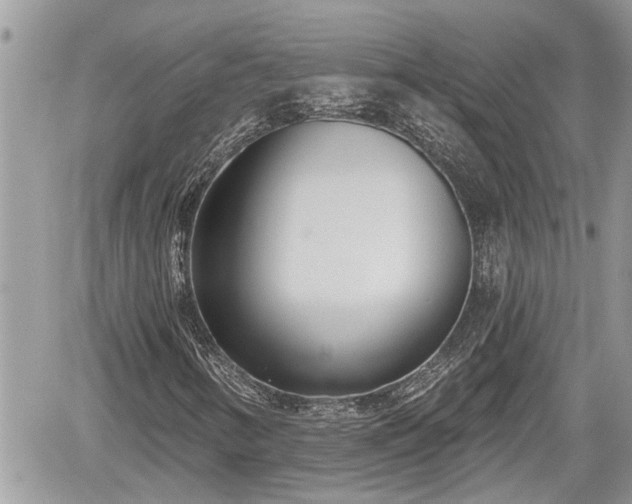 X0000060241346200510311511