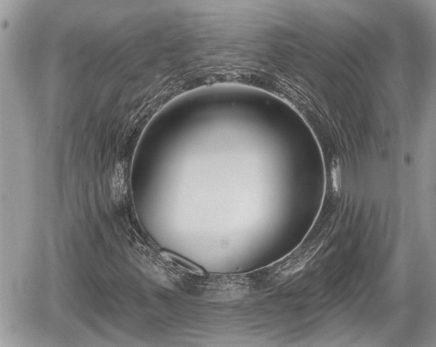 X0000060241347200510311511