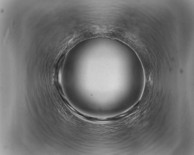 X0000060241348200510311511