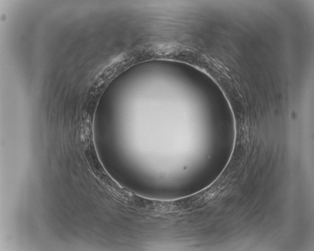 X0000060241349200510311511