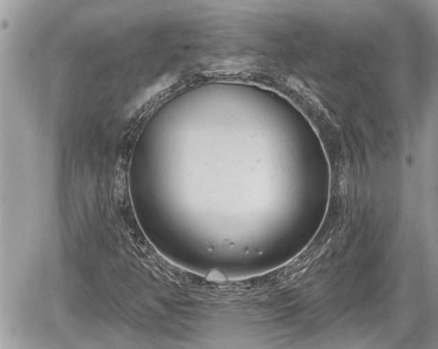 X0000060241350200510311511