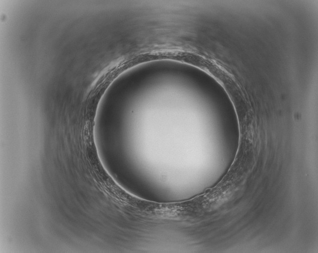 X0000060241351200510311511