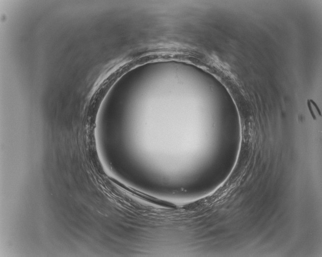 X0000060241352200510311511