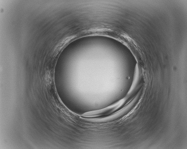 X0000060241353200510311511