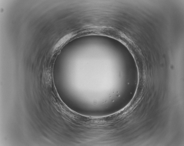 X0000060241354200510311511