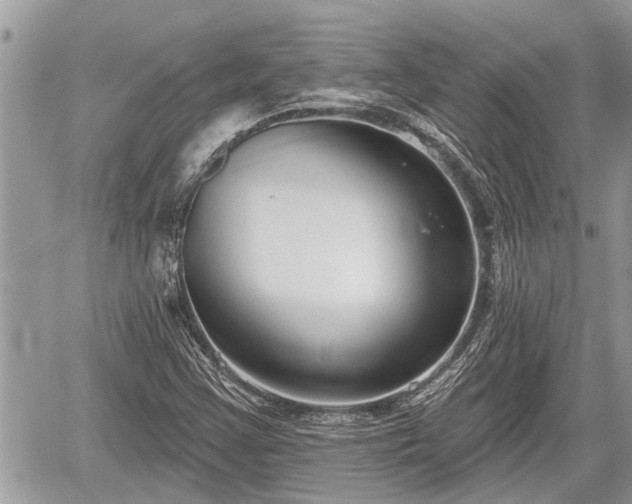 X0000060241355200510311511