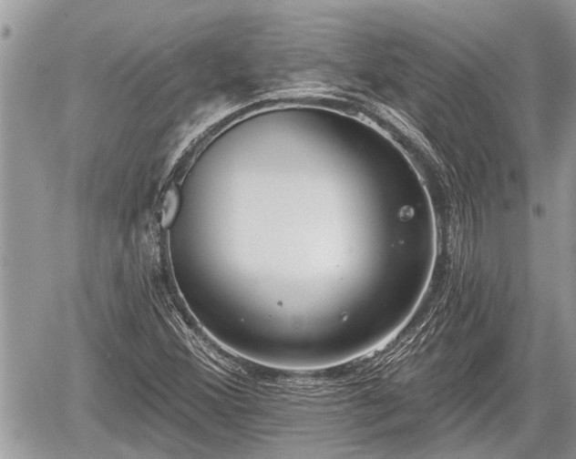 X0000060241356200510311511