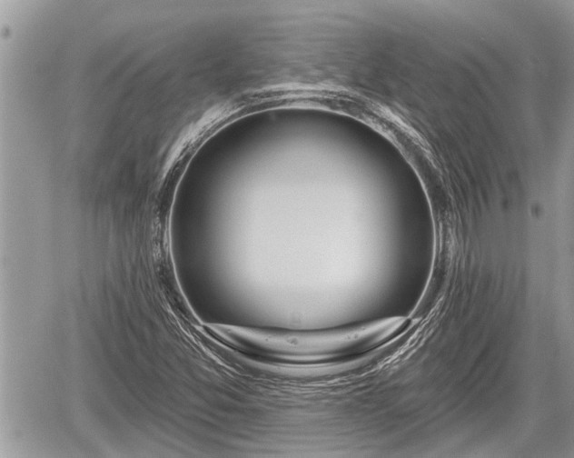 X0000060241357200510311511