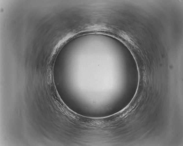 X0000060241358200510311511