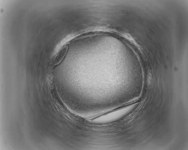 X0000060241359200510311511