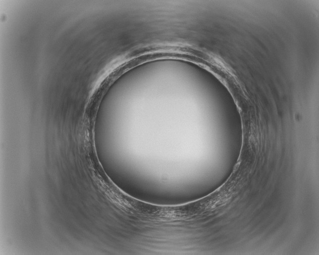 X0000060241360200510311511