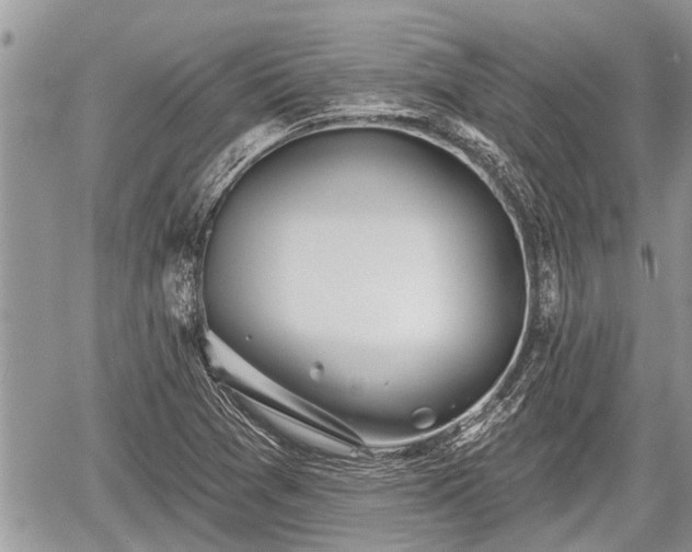 X0000060241361200510311511