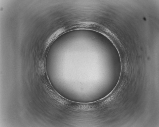 X0000060241362200510311511