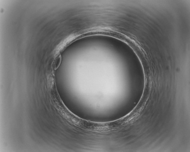 X0000060241363200510311511