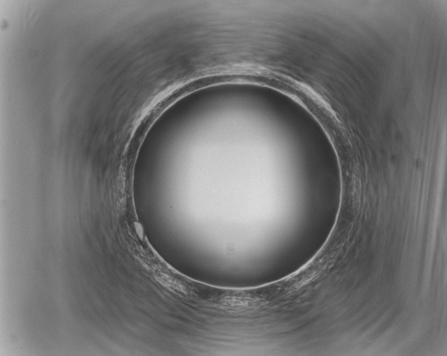 X0000060241364200510311511