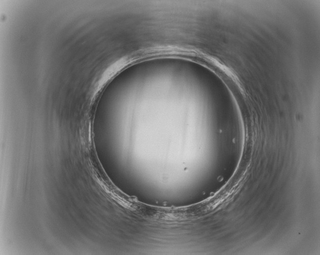 X0000060241365200510311511