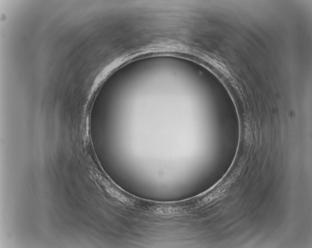 X0000060241366200510311511