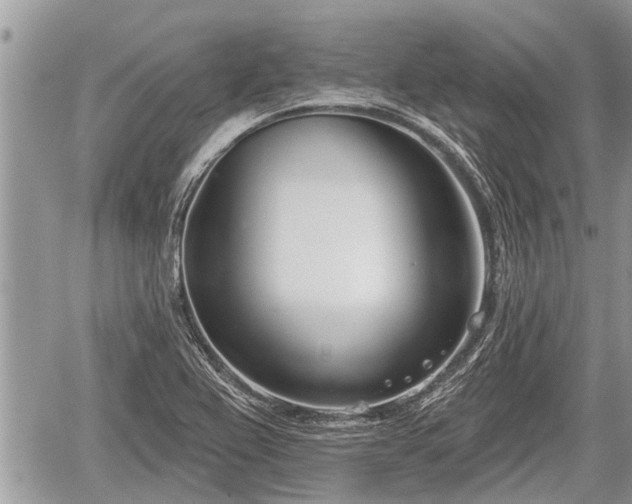 X0000060241367200510311511