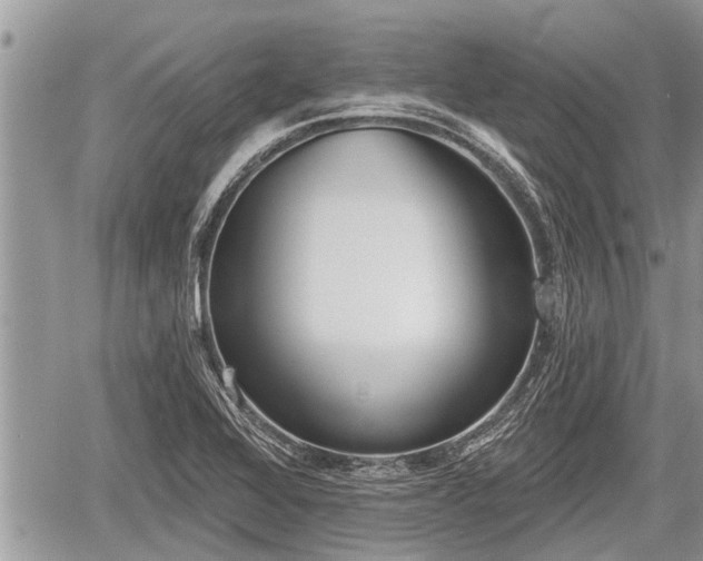 X0000060241368200510311511