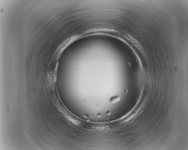 X0000060241369200510311511