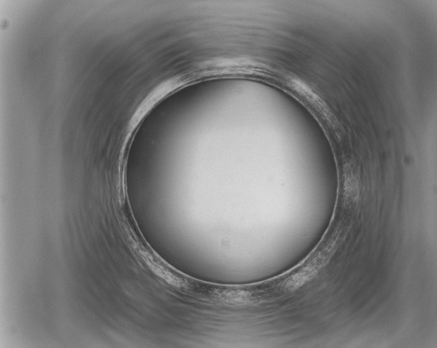 X0000060241370200510311511