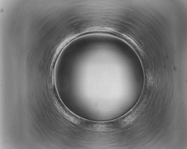 X0000060241371200510311511