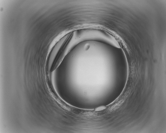 X0000060241373200510311511