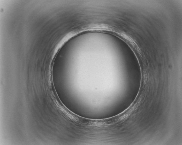 X0000060241374200510311511