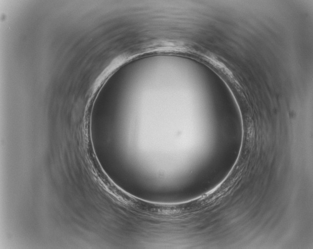 X0000060241375200510311511