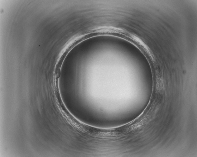 X0000060241376200510311511