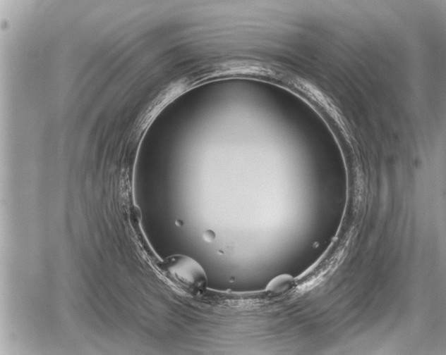 X0000060241377200510311511