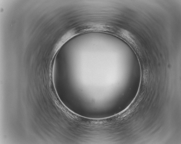 X0000060241378200510311511