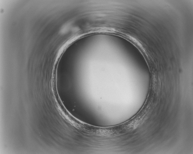 X0000060241379200510311511