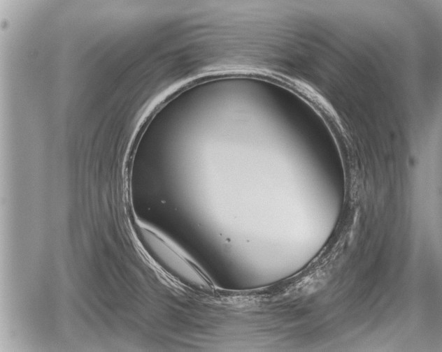 X0000060241380200510311511