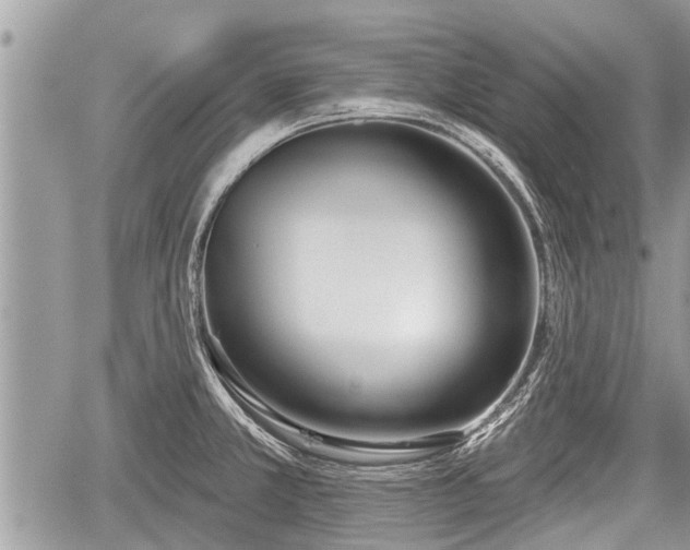 X0000060241381200510311511