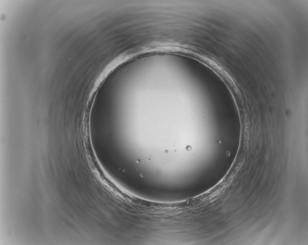 X0000060241382200510311511