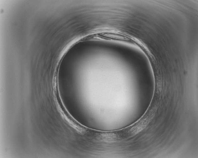 X0000060241383200510311511